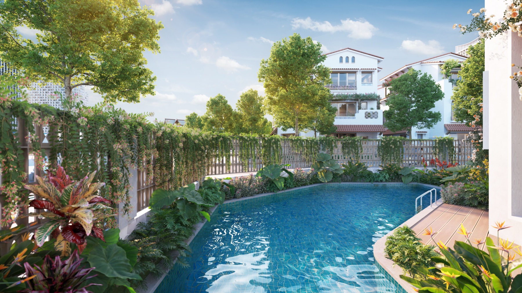 🏙️ Phối cảnh dự án 20